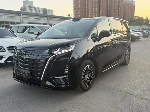 Denza D9 DM 2025