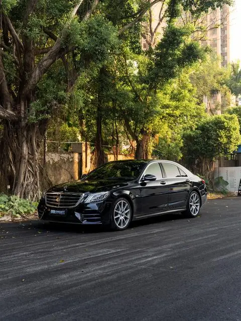 Mercedes-Benz S-Class 2020 — фото 1