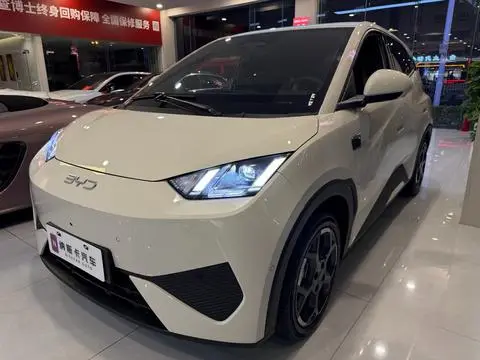 BYD Seagull 2025