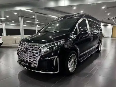 Mercedes-Benz 威霆 2024