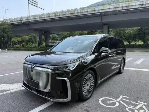 Voyah 梦想家 PHEV 2025