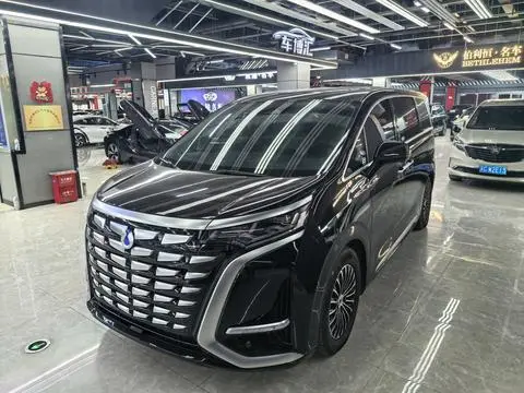 Denza D9 DM 2024