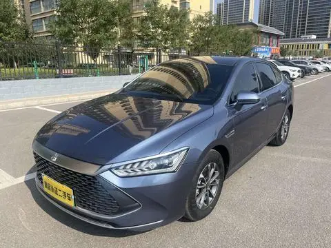 BYD 秦PLUS DM 2024 — фото 1
