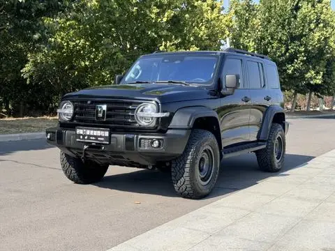 TANK 300 2024