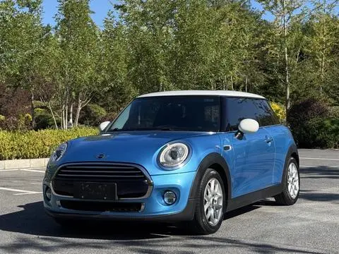 MINI MINI 2014