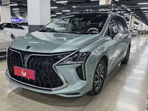 Forthing 风行游艇 2022