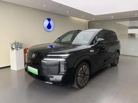 Denza N8L DM 2025