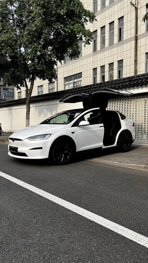 Tesla Model X 2021