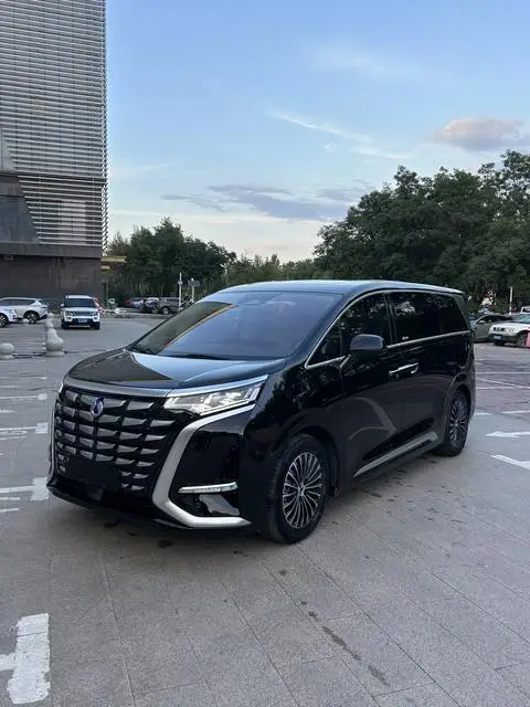 Denza D9 DM 2024