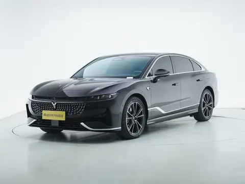 Voyah 追光 PHEV 2024