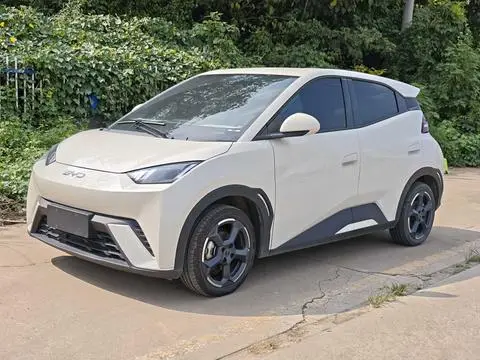 BYD Seagull 2024
