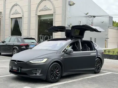Tesla Model X 2019