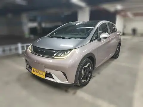 BYD Dolphin 2021