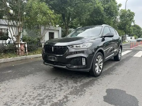 Wey VV6 2018
