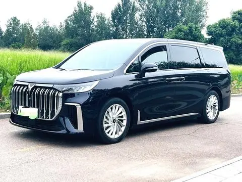 Voyah 梦想家 PHEV 2024