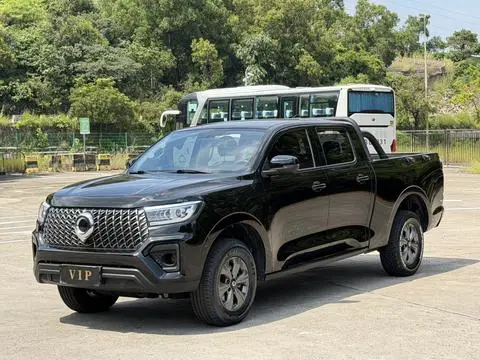 Great Wall 炮 2023