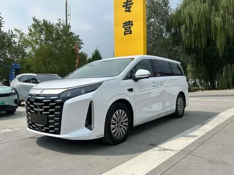 BYD 夏 2025