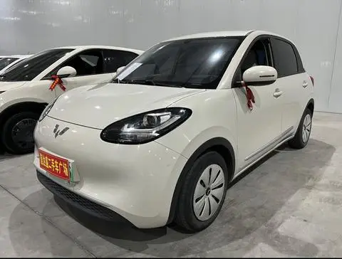 Wuling Bingo 2024