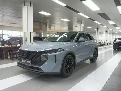 Venucia 大V 2022