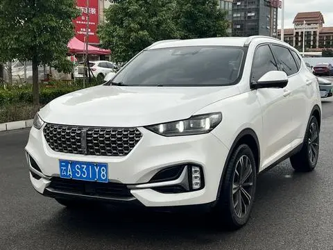 Wey VV6 2020