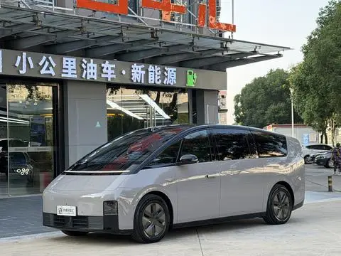Li MEGA 2025