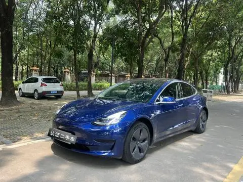 Tesla Model 3 2019