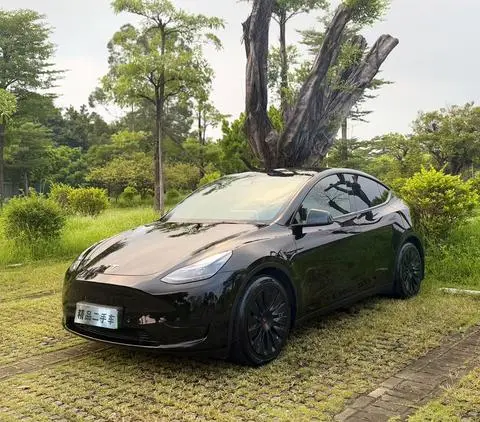 Tesla Model Y 2022 — фото 1