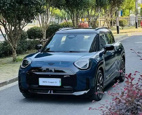 MINI MINI ACEMAN 2024