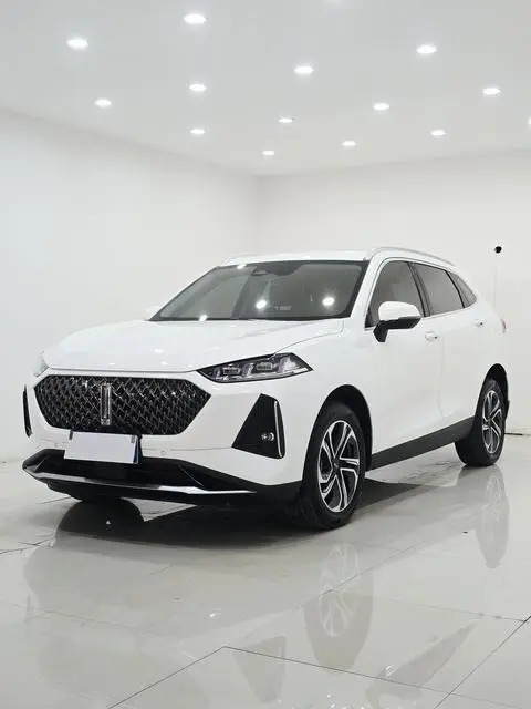Wey 玛奇朵DHT 2021