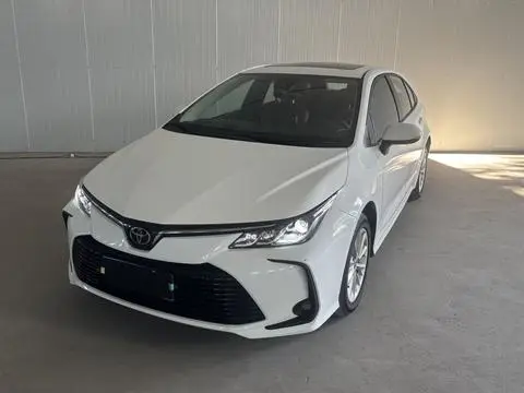 Toyota Corolla 2021 — фото 1