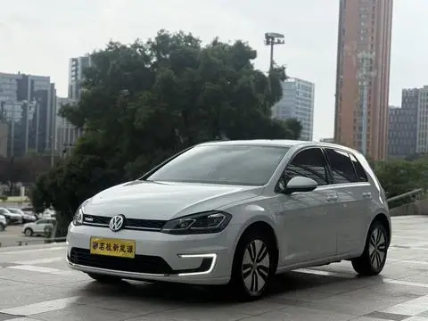 Volkswagen Golf·纯电 2019
