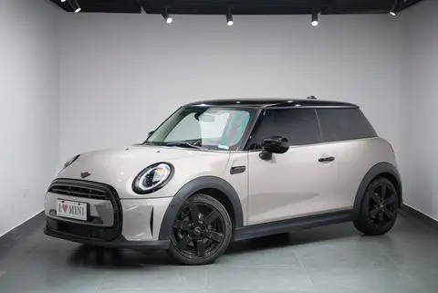 MINI MINI 2022