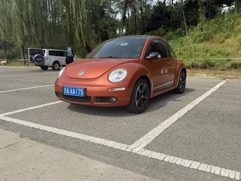 Volkswagen 甲壳虫 2010