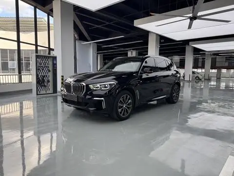 BMW X5 2022