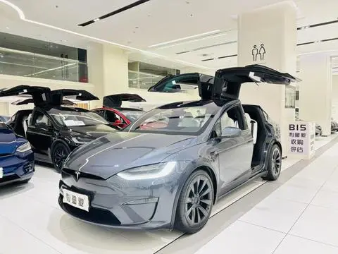Tesla Model X 2023
