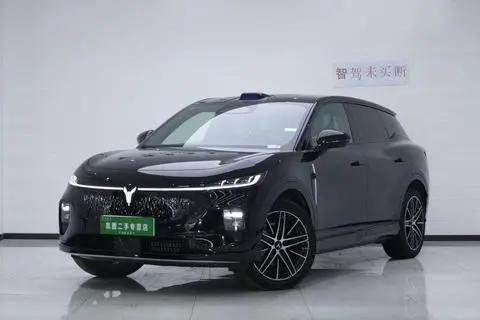Voyah 知音 2025
