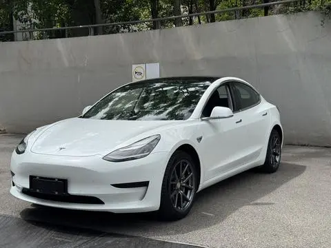 Tesla Model 3 2019