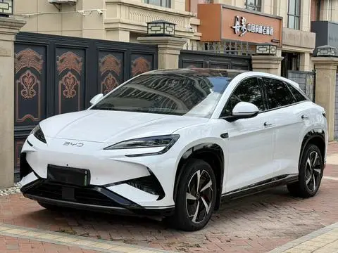 BYD 海狮07EV 2024