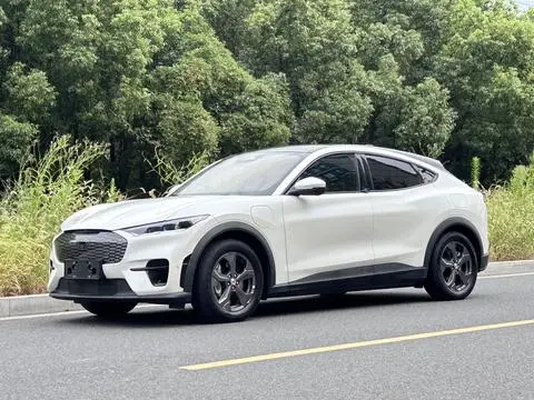 Ford 电马 2021