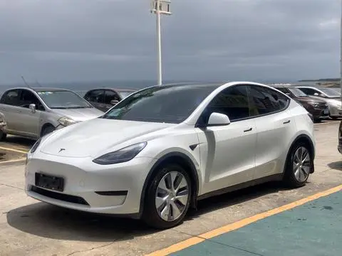 Tesla Model Y 2023 — фото 1