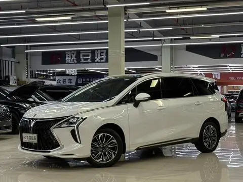 Forthing 风行游艇 2022