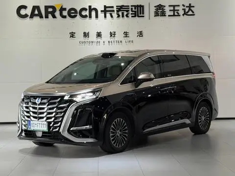 Denza D9 DM 2025