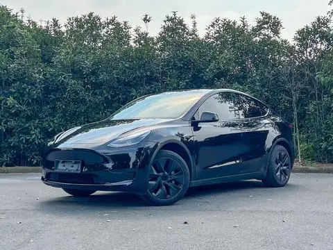 Tesla Model Y 2023 — фото 1