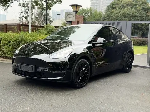 Tesla Model Y 2021 — фото 1