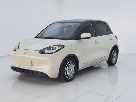 Wuling Bingo 2023