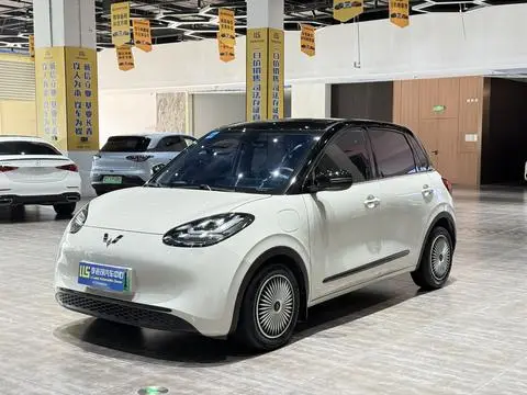 Wuling Bingo 2023