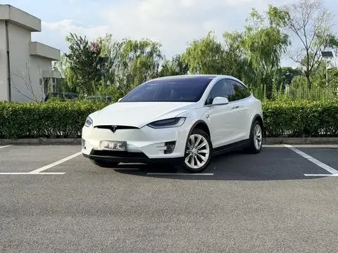 Tesla Model X 2019