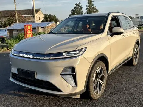 Haval 枭龙MAX 2025