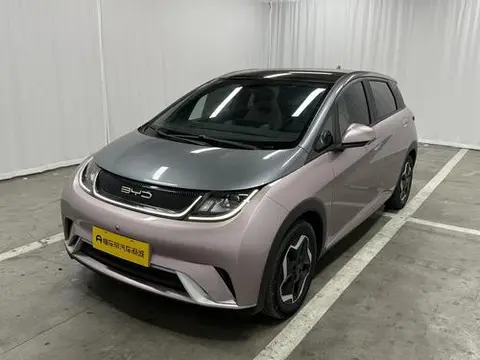 BYD Dolphin 2021