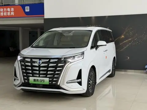 Denza D9 DM 2024